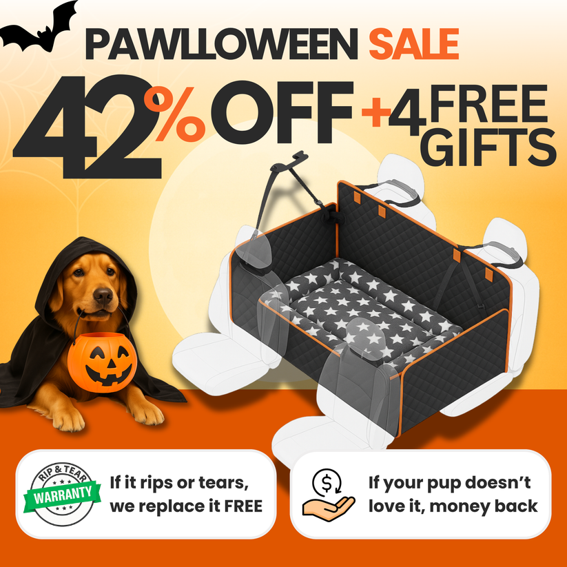 PawMove® - Safe Pet Rides Easy