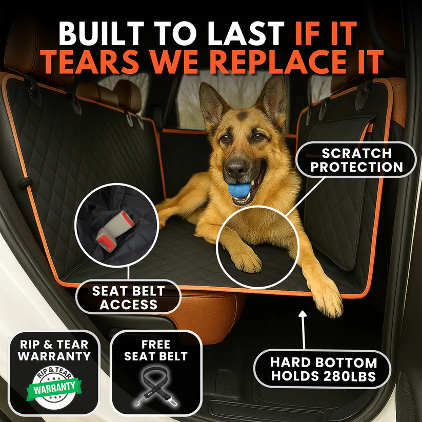PawMove® - Safe Pet Rides Easy