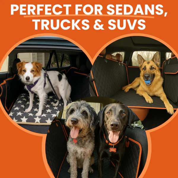 PawMove® - Safe Pet Rides Easy
