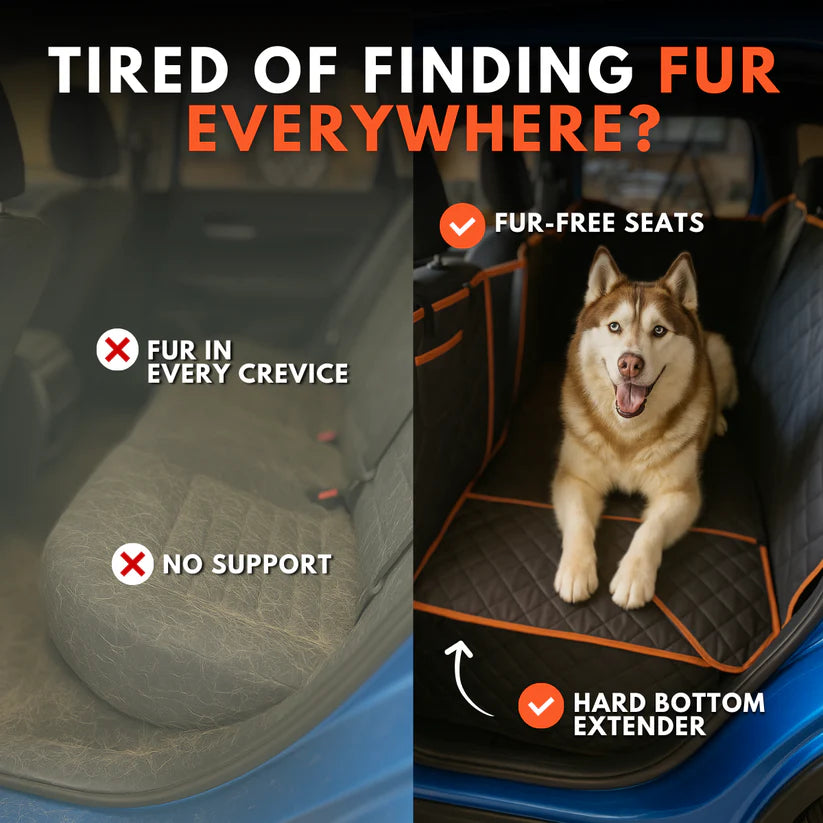 PawMove® - Safe Pet Rides Easy